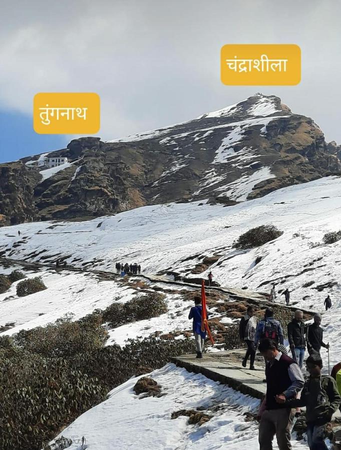 Pandava'S Cafe & Stay Chopta المظهر الخارجي الصورة